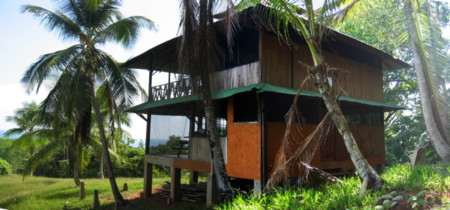 c.ballena - 1