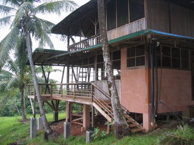 c.ballena - 2