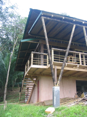 c.ballena - 14
