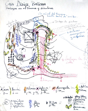 c.ballena - 3