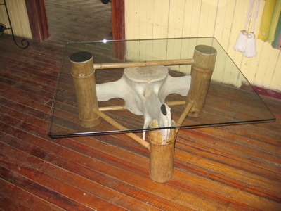 c.ballena - 23