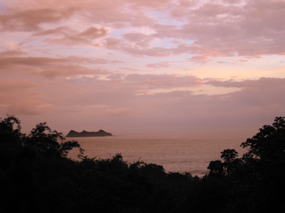c.ballena - 36