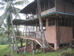 c.ballena - 2