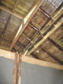IMG_7896.JPG