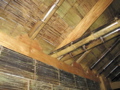 IMG_8017.JPG