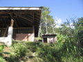 IMG_8998.JPG