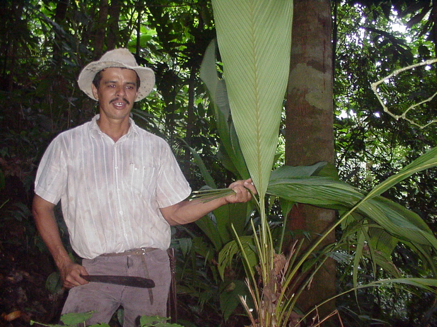 c.embrujada - 2