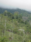 c.embrujada - 1